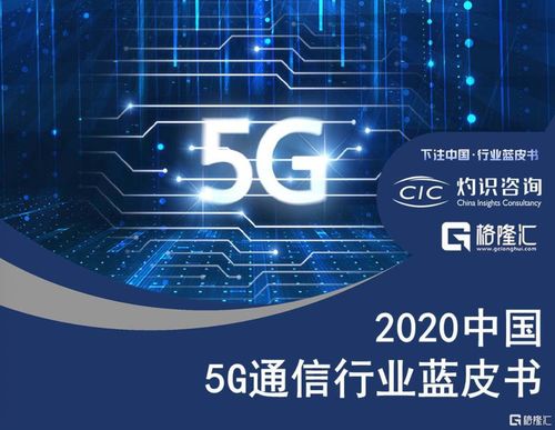 国内首份 5G通信行业蓝皮书 发布,60家公司成中国5G行业发展中间力量