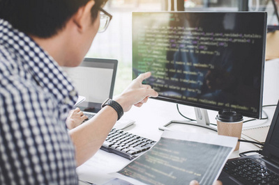 编写代码和键入数据代码技术, 程序员协同工作在网站上的软件开发在公司的台式计算机上